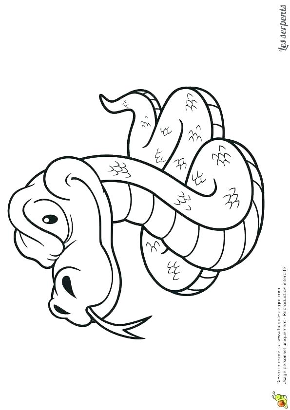 Reptile Coloring Pages Pictures Of Reptiles To Color Reptiles 595x842 Reptile Coloring Pages Pictures Of Reptiles To Color Reptiles