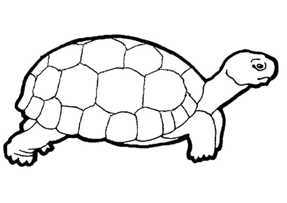 Reptiles Coloring Pages Educational Coloring Books Sea Turtle 940x664 Reptiles Coloring Pages Educational Coloring Books Sea Turtle