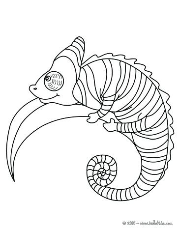 Reptiles Coloring Pages 364x470 Reptiles Coloring Pages