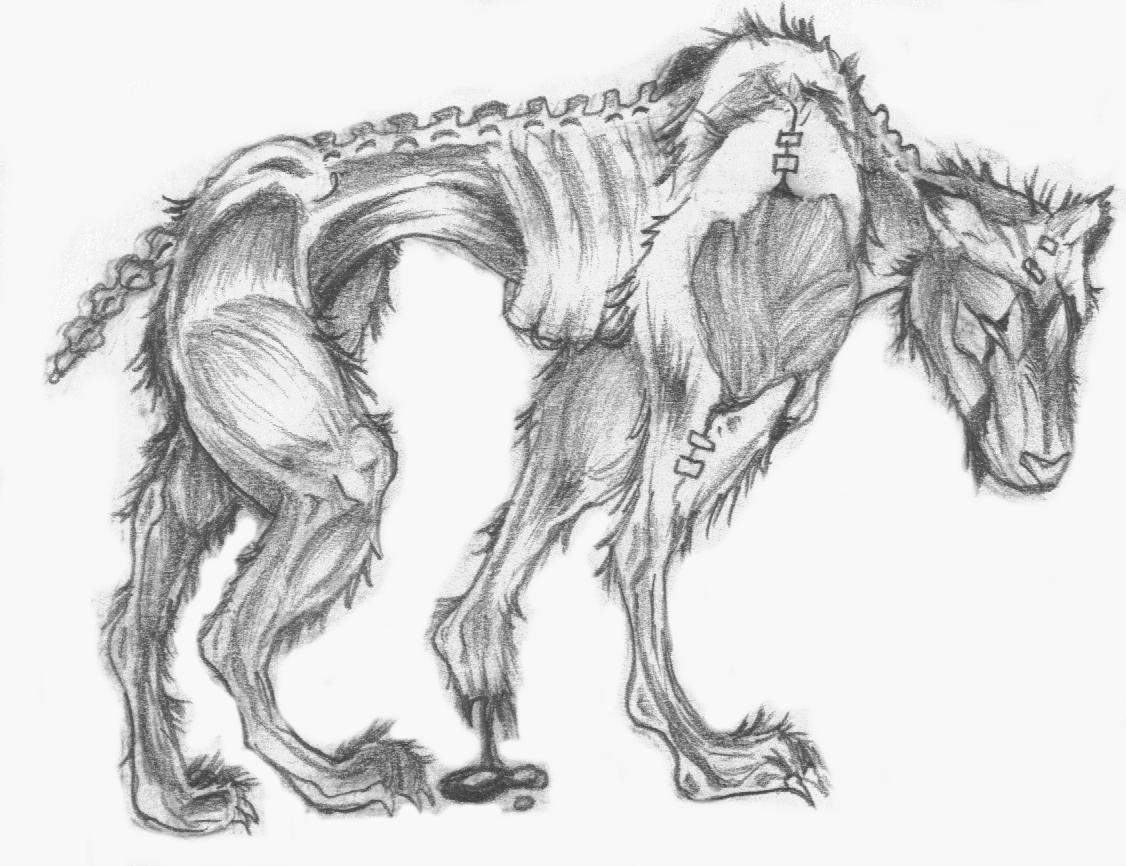 Resident Evil Dog By Nickademus Devia On How To Draw Images 1126x866 Resident Evil Dog By Nickademus Devia On How To Draw Images