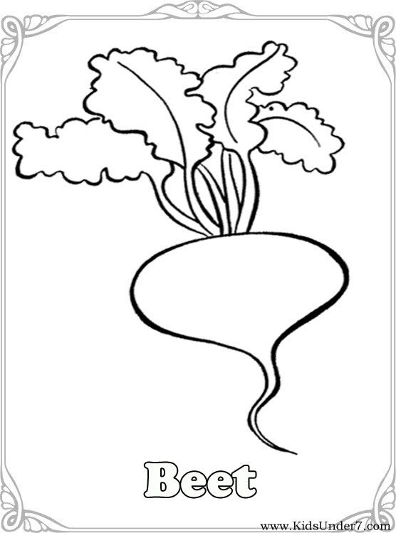 Vegetables Coloring Pages.vegetable Coloring. Find Free Coloring 556x749 Vegetables Coloring Pages.vegetable Coloring. Find Free Coloring