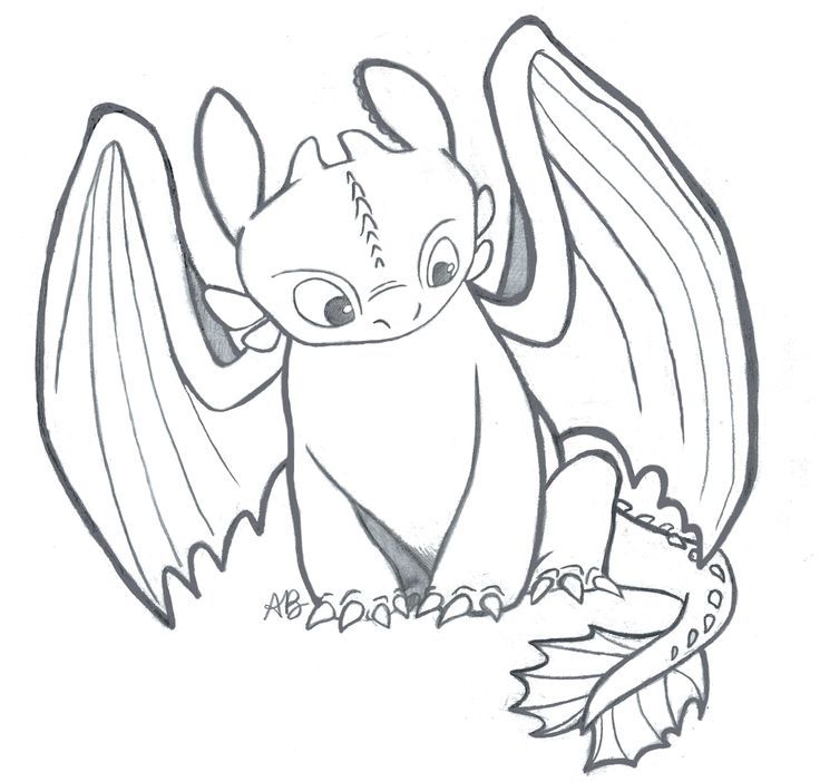 Toothless Dragon Coloring Pages 736x702 Toothless Dragon Coloring Pages