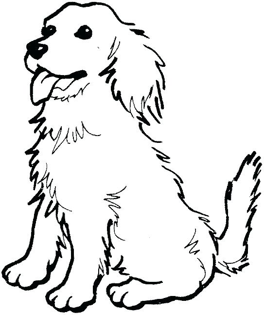 Golden Retriever Coloring Pages Coloring Pages Draw A Golden 543x646 Golden Retriever Coloring Pages Coloring Pages Draw A Golden