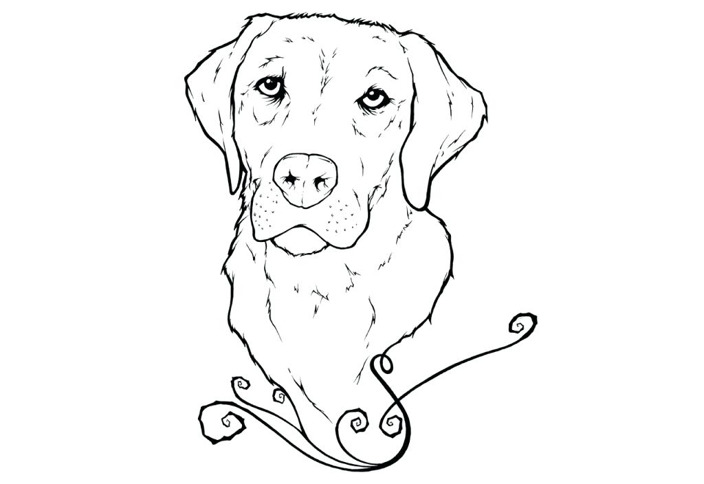 Golden Retriever Coloring Pages Inspirational Photograph Of Golden 1024x704 Golden Retriever Coloring Pages Inspirational Photograph Of Golden