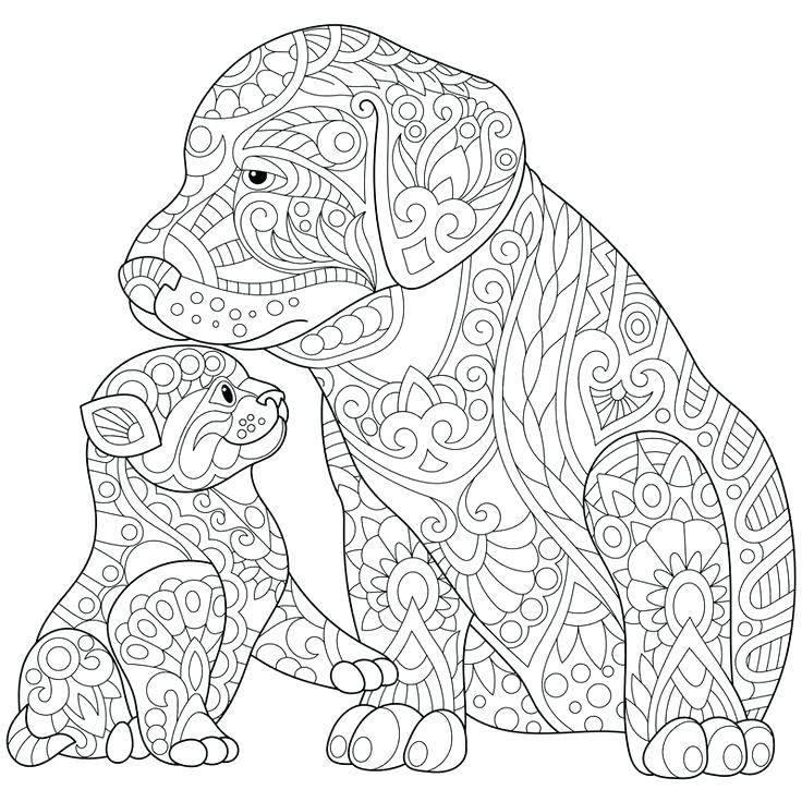 Labrador Retriever Coloring Pages Coloring Pages Collection Black 736x736 Labrador Retriever Coloring Pages Coloring Pages Collection Black