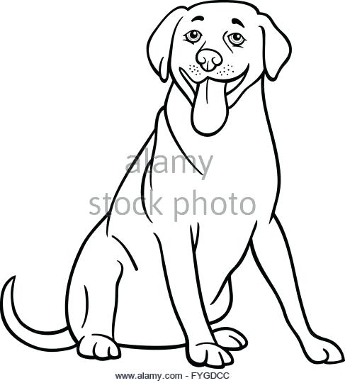 Labrador Retriever Coloring Pages Retriever Dog Cartoon 487x540 Labrador Retriever Coloring Pages Retriever Dog Cartoon