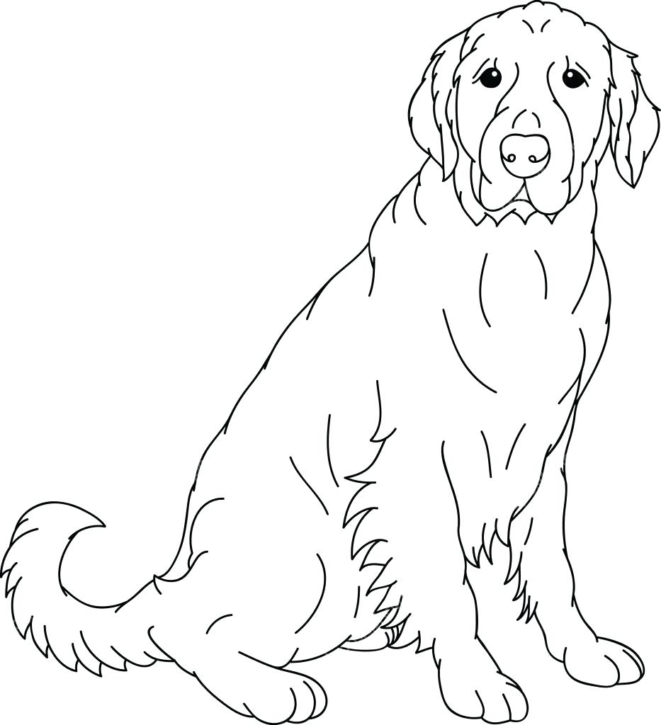 Best Of Adult Coloring Pages Of A Dog Lab Gallery Printable 933x1024 Best Of Adult Coloring Pages Of A Dog Lab Gallery Printable