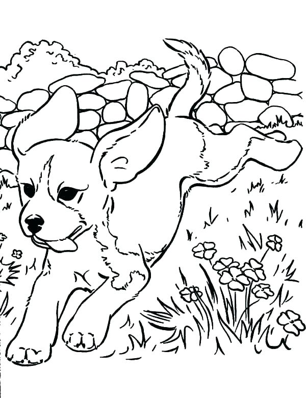 Lisa Frank Coloring Pages Frank Coloring Pages To Print Golden 600x780 Lisa Frank Coloring Pages Frank Coloring Pages To Print Golden