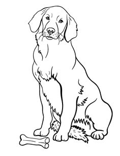 Printable Golden Retriever Coloring Page. Free Pdf Download 236x305 Printable Golden Retriever Coloring Page. Free Pdf Download