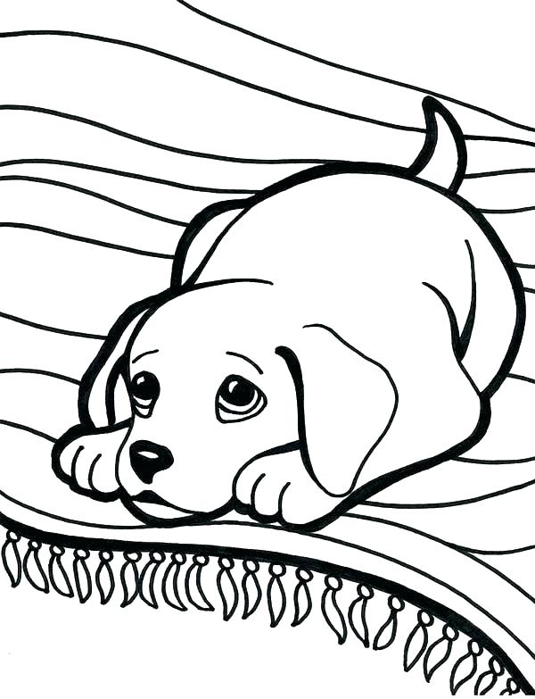 Labrador Coloring Pages 600x783 Labrador Coloring Pages