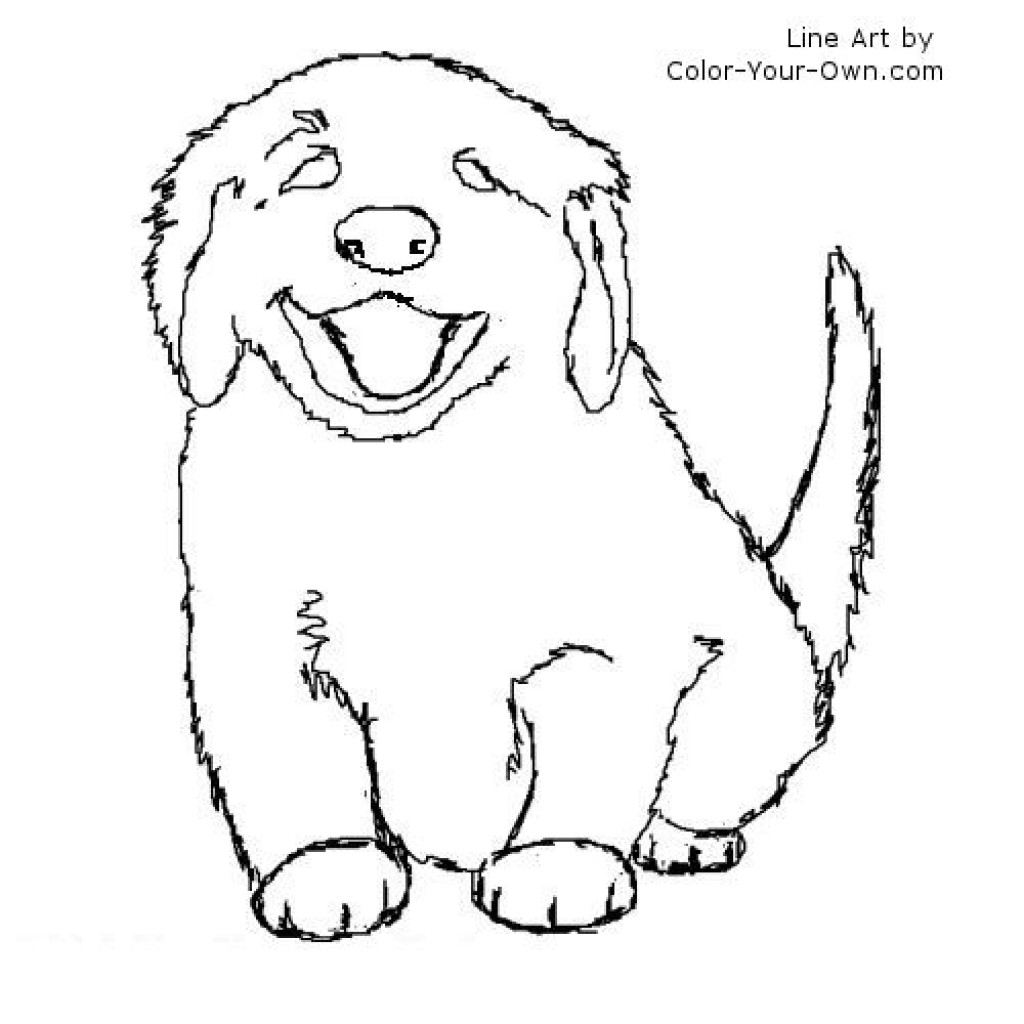 Coloring Pages Husky Puppy Fresh Drawn Golden Retriever Best 1024x1024 Coloring Pages Husky Puppy Fresh Drawn Golden Retriever Best