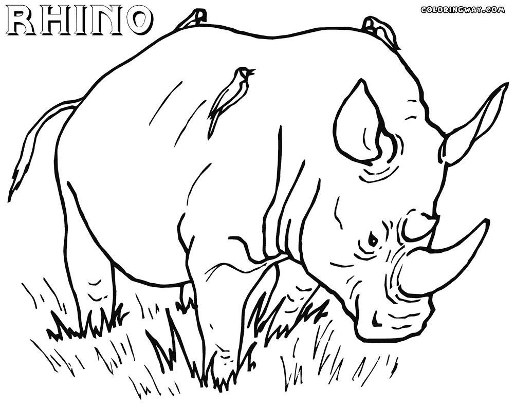 1000x794 Profitable Rhino Coloring Page 2 11996