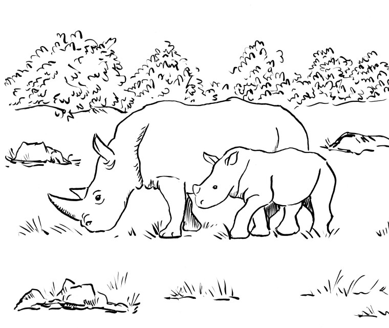 760x641 Rhino Coloring Page