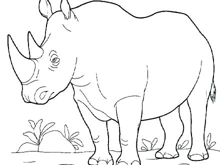 440x330 Rhino Coloring Page Rhino Coloring Page Rhino Coloring Page 1