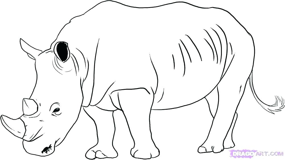 1002x563 Rhino Coloring Page Woolly Rhino Coloring Pages Rhinoceros