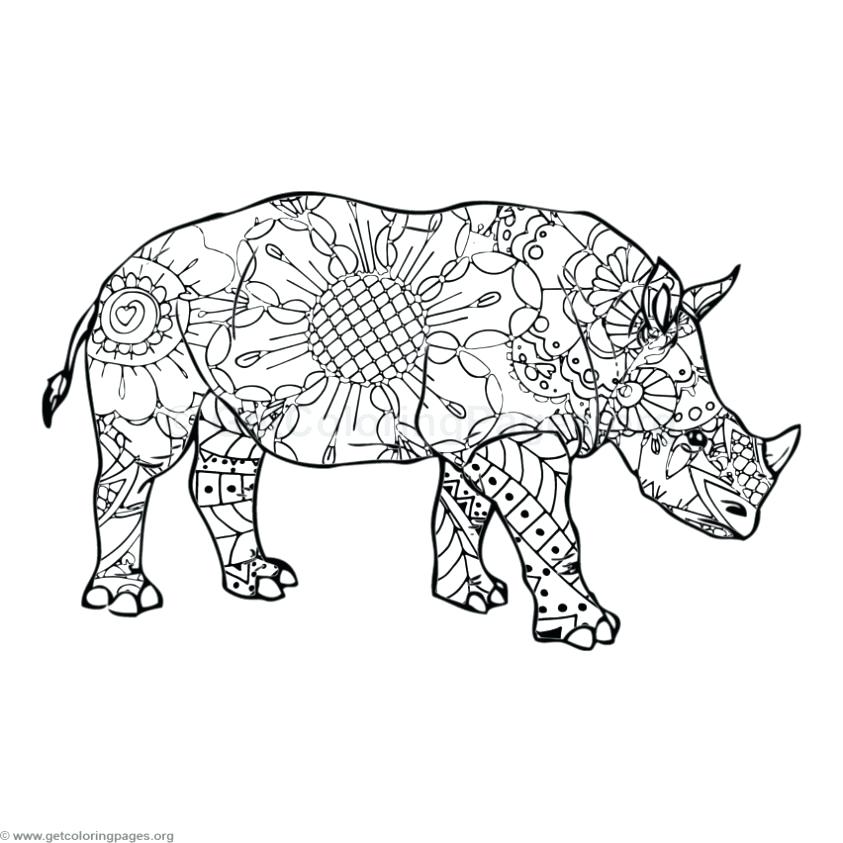 843x843 Rhino Coloring Pages Delightful Rhino Coloring Page Free Download