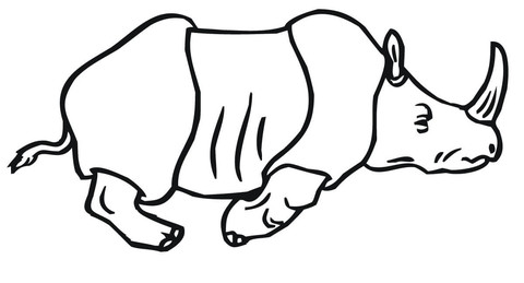 480x259 Rhino Coloring Pages Printable Running Indian Page Free