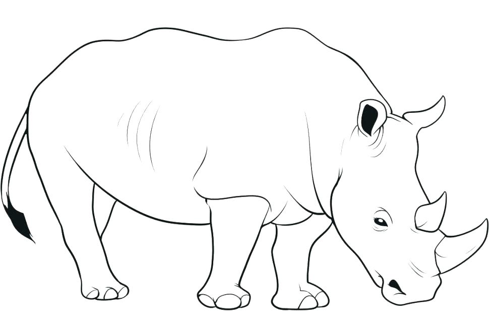 970x649 Rhino Coloring With Spiderman And Rhino Coloring Pages