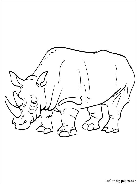 560x750 Rhino Coloring Page To Print Out Coloring Pages
