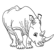 220x220 Rhinoceros Coloring Pages, Drawing For Kids, Videos For Kids