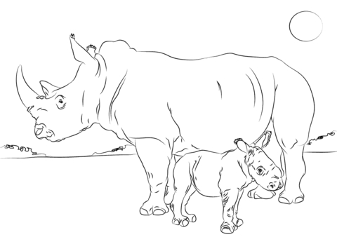 480x358 Rhinoceros Coloring Page