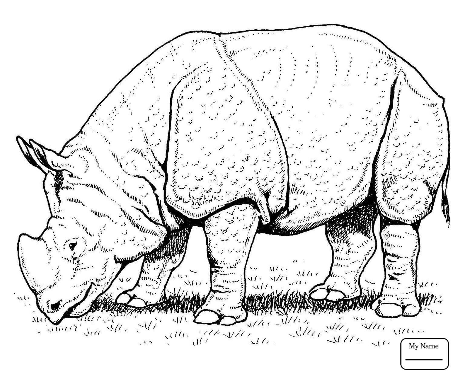 1505x1242 Useful Rhino Coloring Page Pictures Of Rhinoceros Fresh Pages
