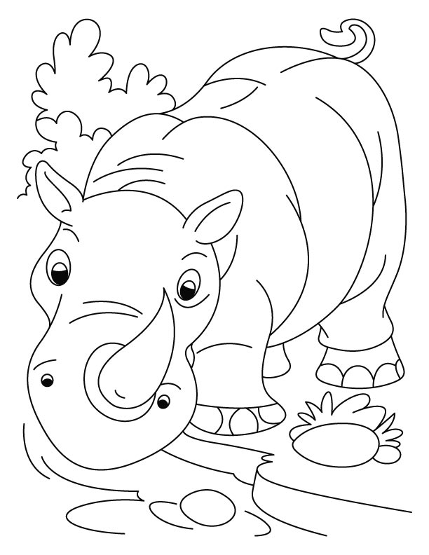 612x792 Free Printable Rhinoceros Coloring Pages For Kids