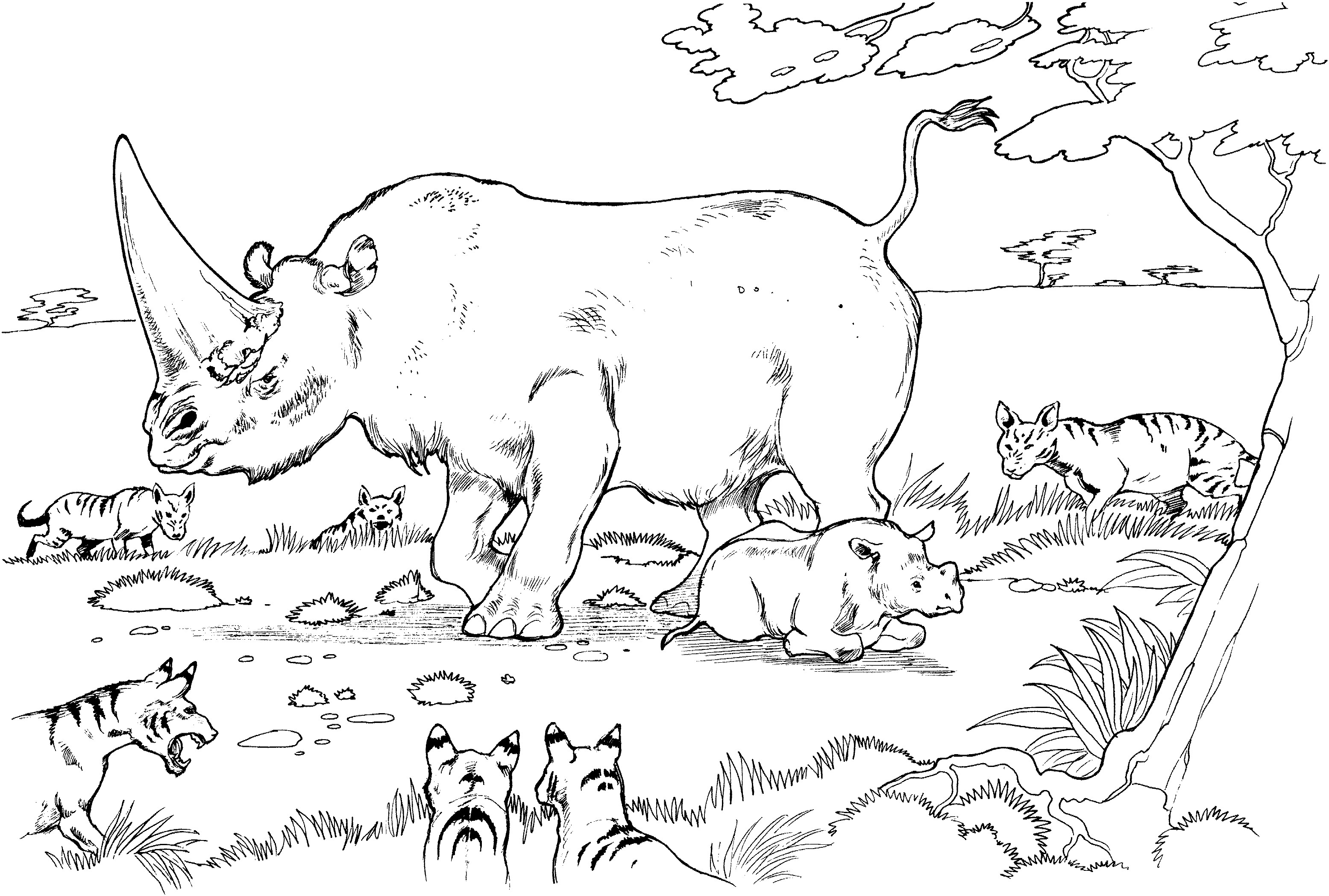 3111x2097 New Rhino Coloring Pages Printable Leri Co Inside Page Design 19