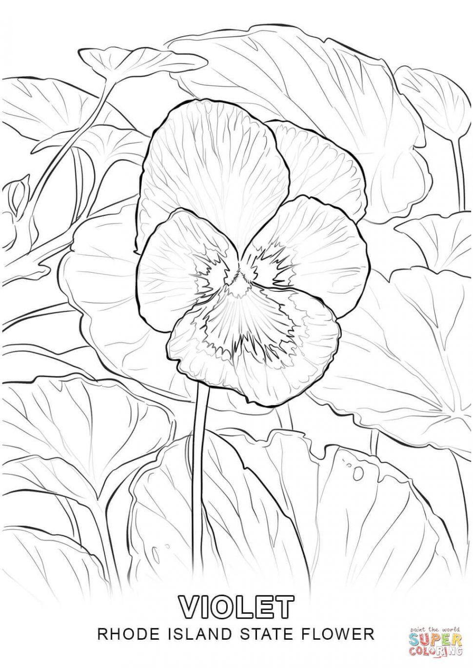 Rhode Island Coloring Pages