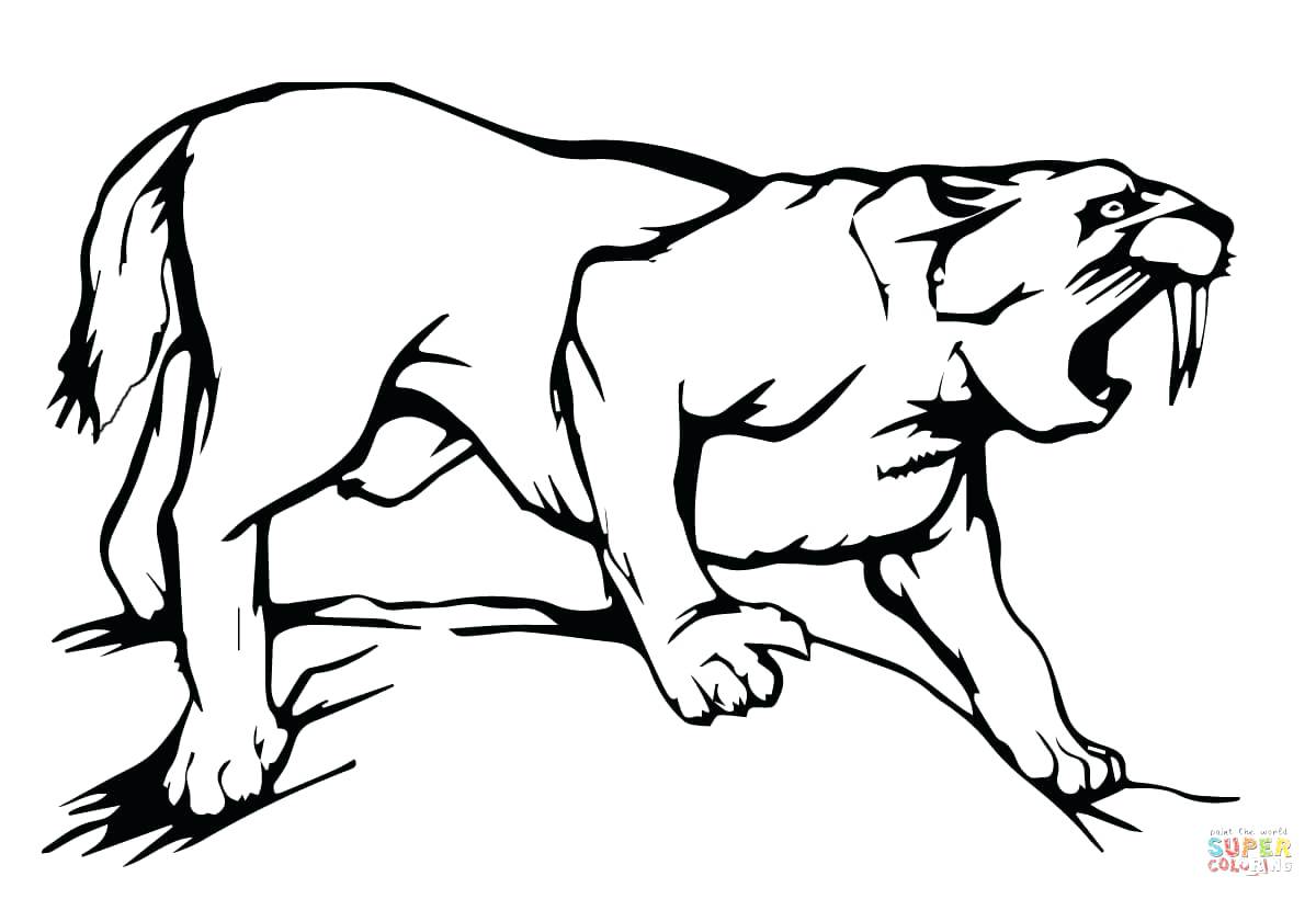 1200x820 Engagement Ring Coloring Page Saber Tooth Tiger Pages Many