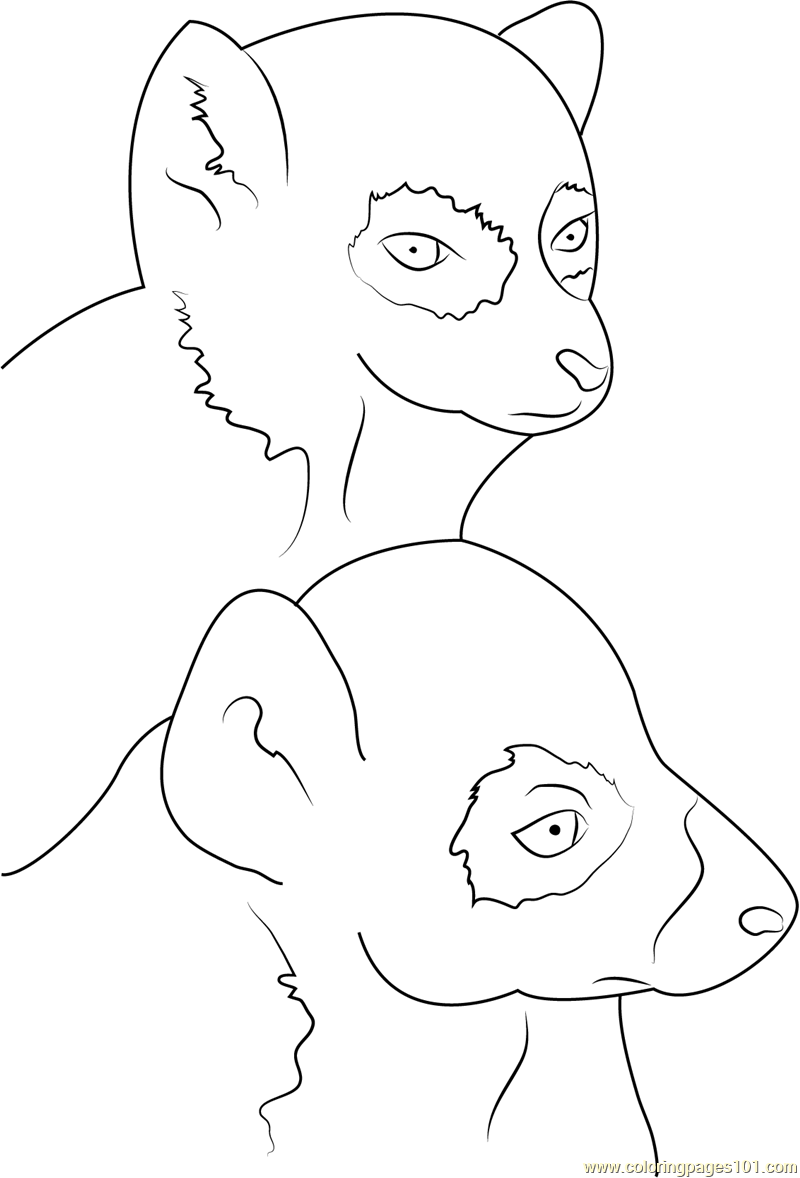 800x1178 Ring Tailed Lemur Face Coloring Page
