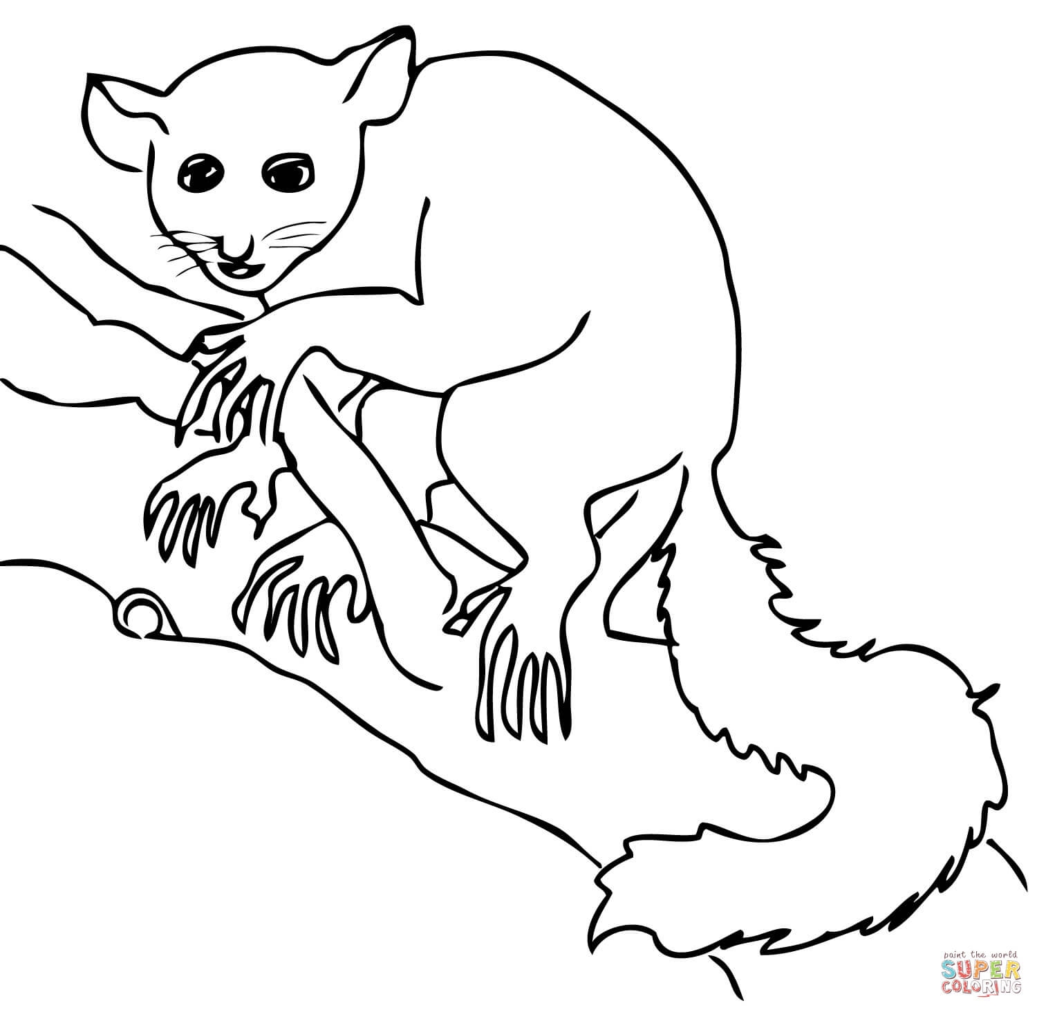 Ring Tailed Lemur Coloring Page