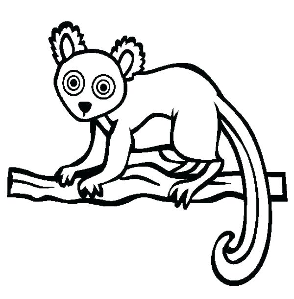 600x612 Lemur Coloring Page Lemur Coloring Page Lemur Coloring Pages Lemur