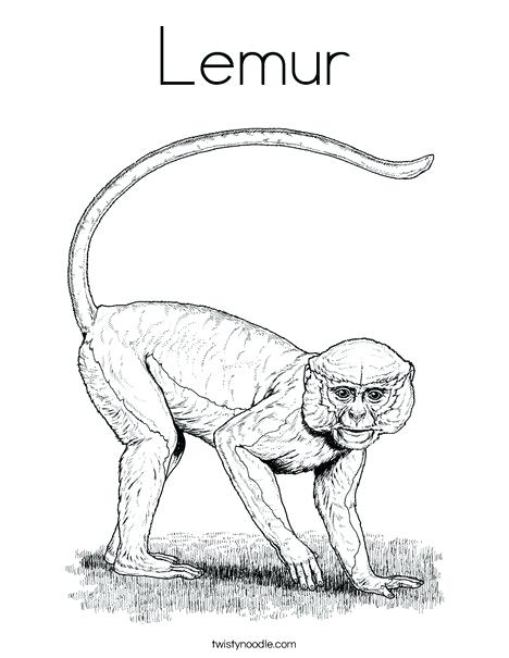 468x605 Lemur Coloring Page Printable Coloring Pages For Kids Coloring