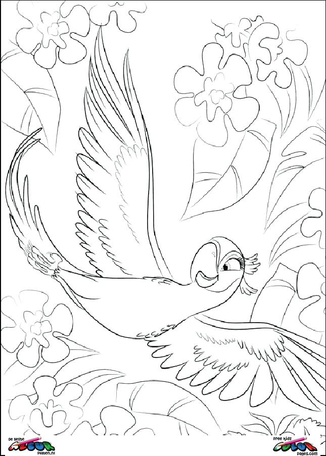Rio Coloring Pages Ideas Coloring Pages For Coloring Pages Online 645x903 Rio Coloring Pages Ideas Coloring Pages For Coloring Pages Online