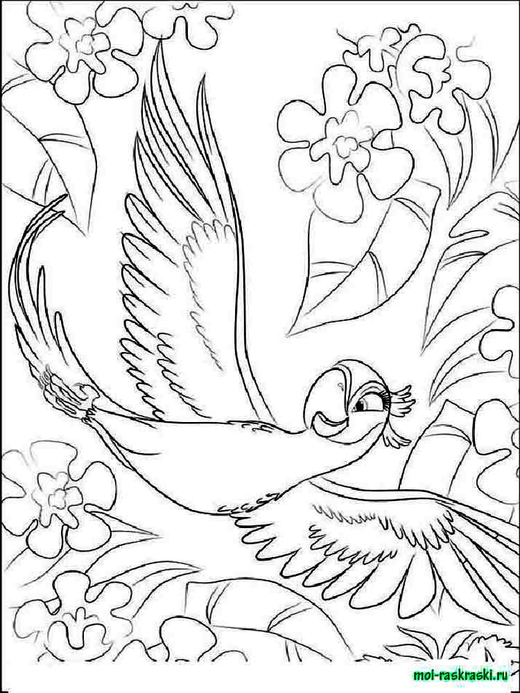 Rio And Rio 2 Coloring Pages. Free Printable Rio And Rio 2 750x1000 Rio And Rio 2 Coloring Pages. Free Printable Rio And Rio 2