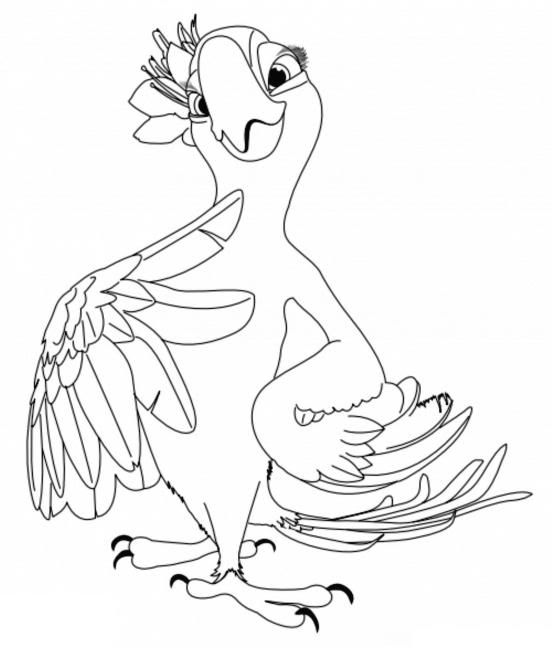 552x648 Rio Coloring Pages 11