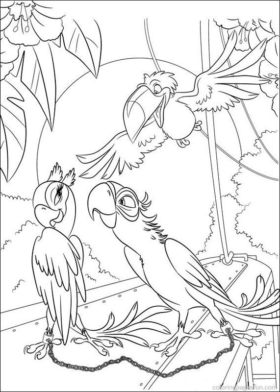 571x800 Angry Birds Rio Coloring Pages Free