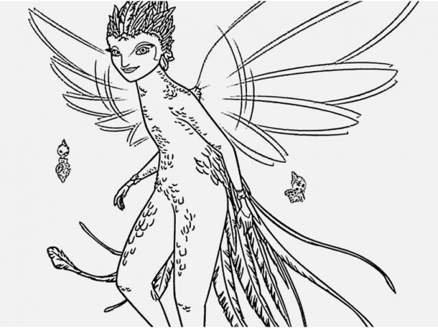 640x480 Tooth Coloring Pages Photographs Tooth Fairy From Rise