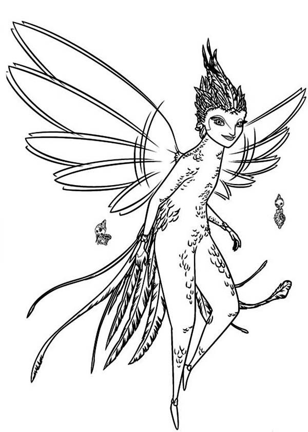 600x840 Toothiana The Guardian Of Memories In Rise Of The Guardians