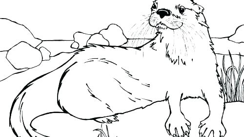 500x280 Otter Coloring Page Otter Coloring Page Otter Coloring Pages