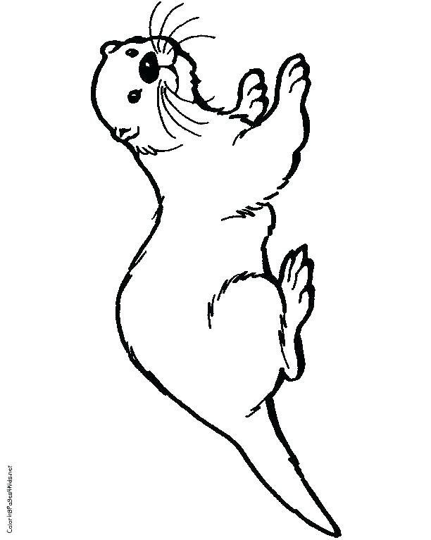 612x767 River Otter Coloring Page Bell River Otter Coloring Page Sea Otter