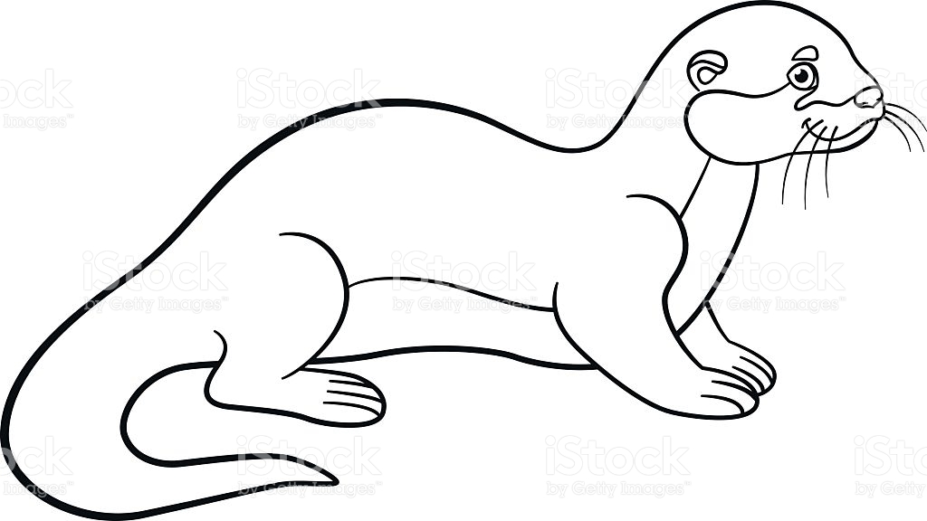 1024x576 Best Otter Coloring Pages