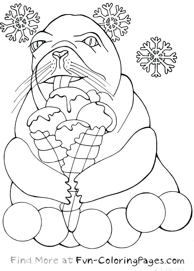 663x925 Sea Otter Coloring Page Professional