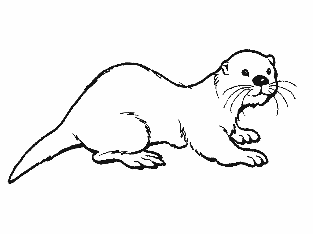 1024x768 Fresh Otter Coloring Page Gallery Printable Coloring Sheet
