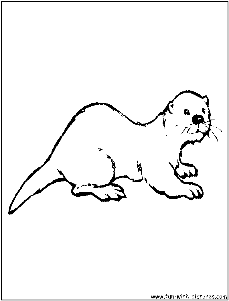 800x1050 Otter Coloring Page Of Otter Preschool Otters