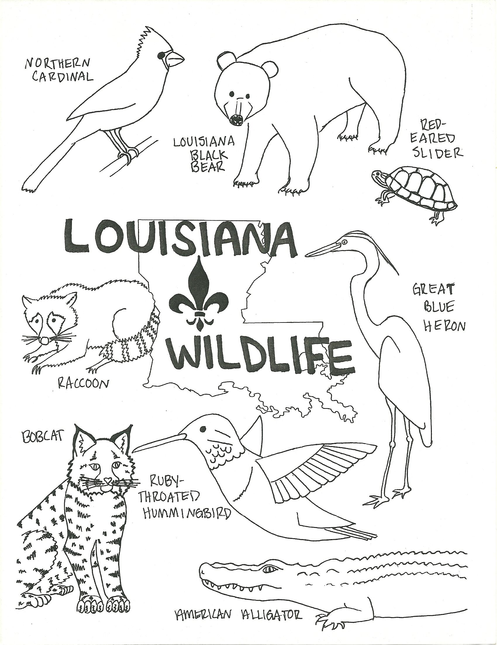 1700x2204 Louisiana Wildlife Coloring Page Wildlife, Social Studies