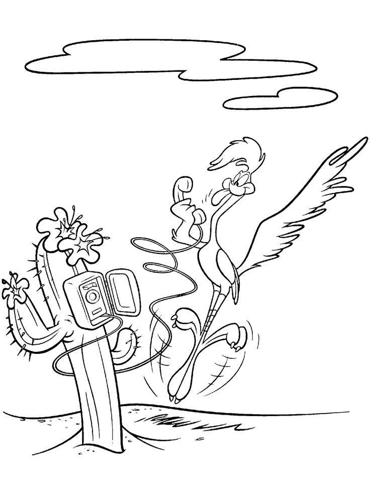Road Runner Cartoon Coloring Pages