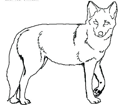 500x425 Road Runner Coloring Page Road Runner And Wile E Coyote Coloring