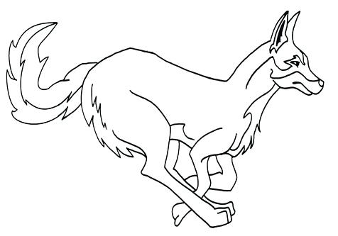 476x333 Coyote Coloring Page Coyote Coloring Page Coyote Coloring Road